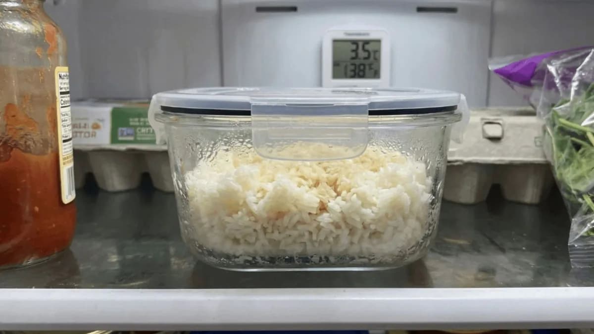 اصول طلایی نگهداری برنج پخته در یخچال